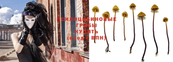 тгк Баксан