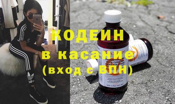 сатива Арсеньев