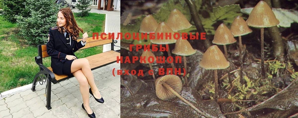 сатива Арсеньев