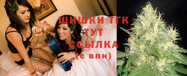 сатива Арсеньев