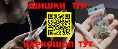 гидра Новодвинск