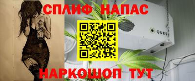 гидра Новодвинск