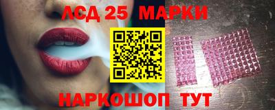 гидра Новодвинск