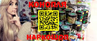 гидра Новодвинск