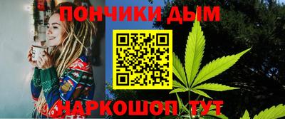 гидра Новодвинск