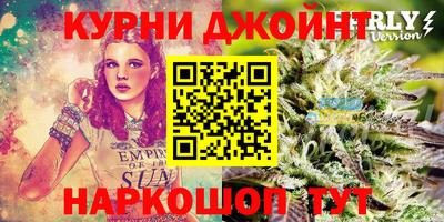 гидра Новодвинск