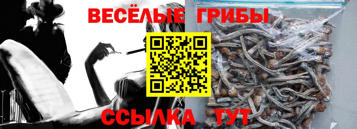 Галлюциногенные грибы мухоморы  Вход с VPN  Солнечногорск 
